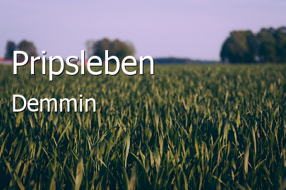 Pripsleben Landkreis Demmin Pripsleben Kleines Dorf