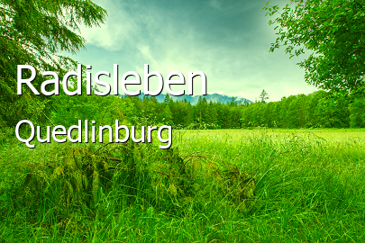 Radisleben 
