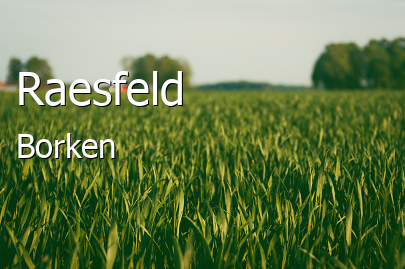 Raesfeld Landkreis Borken Raesfeld Kleinstadt
