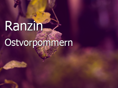 Ranzin 