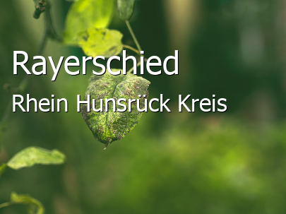 Rayerschied Rhein-Hunsrück-Kreis Rayerschied Kleines Dorf