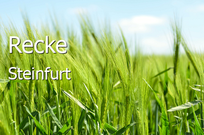 Recke Landkreis Steinfurt Recke Kleinstadt