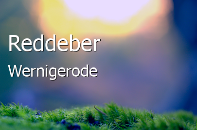 Reddeber 