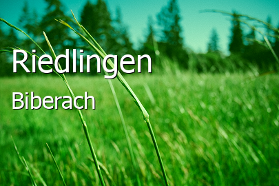 Riedlingen Landkreis Biberach Riedlingen Kleinstadt