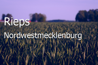 Rieps Landkreis Nordwestmecklenburg Rieps Kleines Dorf