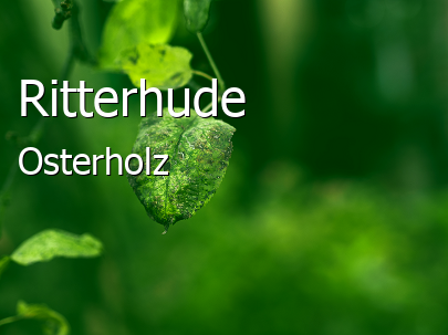 Ritterhude Landkreis Osterholz Ritterhude Kleinstadt