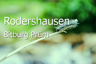 Rodershausen Landkreis Bitburg-Prüm Rodershausen Kleines Dorf
