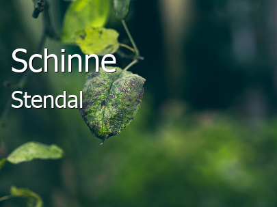 Schinne 