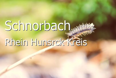 Schnorbach Kleines Dorf