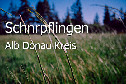 Schnrpflingen Groes Dorf
