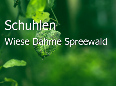 Schuhlen-Wiese 