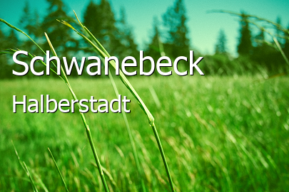 Schwanebeck Landkreis Halberstadt Schwanebeck Landstadt