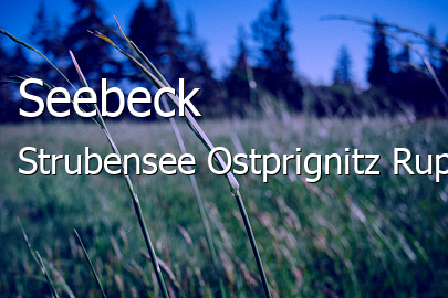 Seebeck-Strubensee 