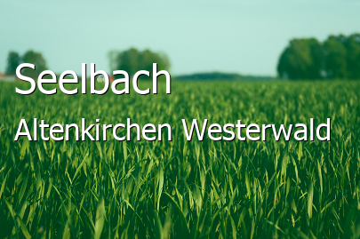 Seelbach Kleines Dorf