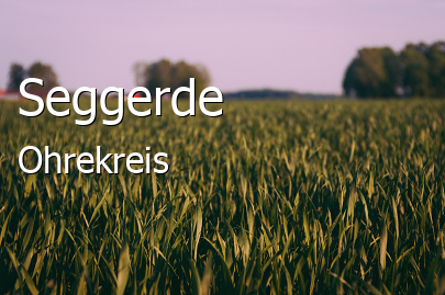 Seggerde 
