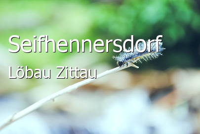 Seifhennersdorf Landkreis Löbau-Zittau Seifhennersdorf Landstadt