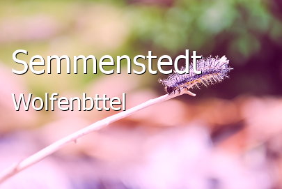 Semmenstedt Dorf