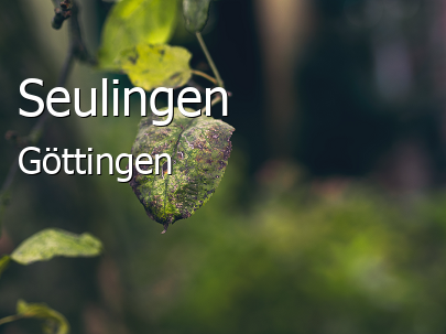 Seulingen Landkreis Göttingen Seulingen Großes Dorf