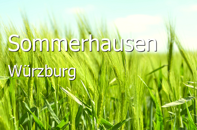Sommerhausen Landkreis Würzburg Sommerhausen Großes Dorf