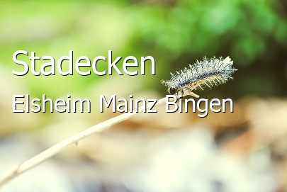 Stadecken-Elsheim Landkreis Mainz-Bingen Stadecken-Elsheim Landstadt