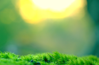 Stadtbergen Kleinstadt