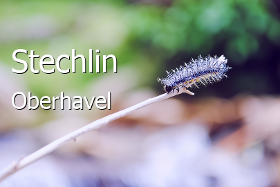 Stechlin Landkreis Oberhavel Stechlin Großes Dorf