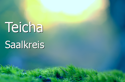 Teicha 