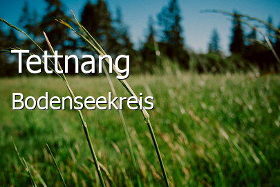 Tettnang Bodenseekreis Tettnang Kleinstadt
