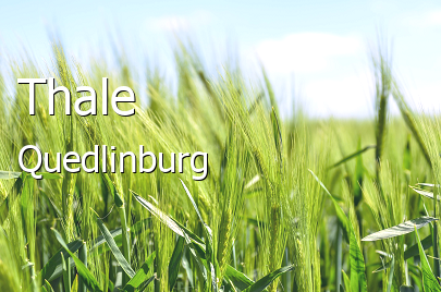 Thale Landkreis Quedlinburg Thale Kleinstadt