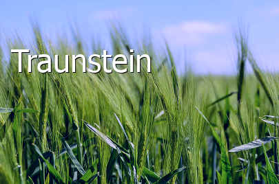 Landkreis Traunstein  Traunreut  Bayern 