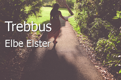 Trebbus 