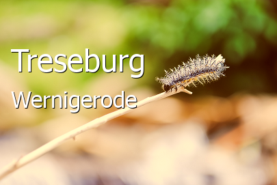 Treseburg 
