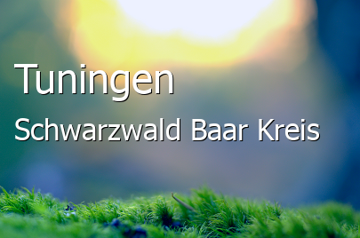 Tuningen Schwarzwald-Baar-Kreis Tuningen Landstadt