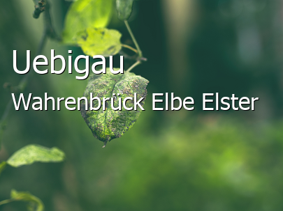 Uebigau-Wahrenbrück Landkreis Elbe-Elster Uebigau-Wahrenbrück Große Landstadt