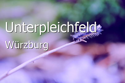 Unterpleichfeld Landkreis Würzburg Unterpleichfeld Landstadt