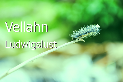 Vellahn Landkreis Ludwigslust Vellahn Landstadt