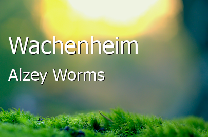 Wachenheim Landkreis Alzey-Worms Wachenheim Dorf