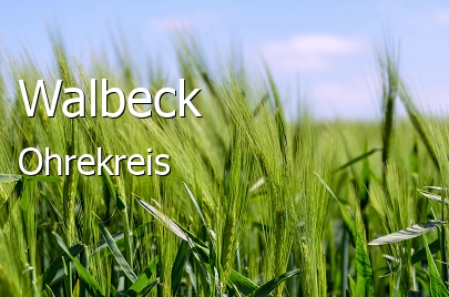 Walbeck 