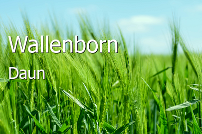 Wallenborn Landkreis Daun Wallenborn Kleines Dorf