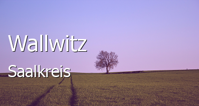 Wallwitz 