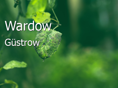 Wardow Landkreis Güstrow Wardow Großes Dorf