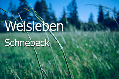 Welsleben 
