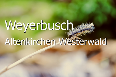 Weyerbusch Landkreis Altenkirchen-Westerwald Weyerbusch Großes Dorf
