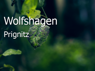 Wolfshagen 