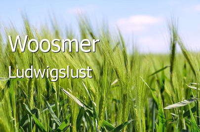 Woosmer 