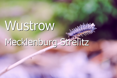 Wustrow Landkreis Mecklenburg-Strelitz Wustrow Dorf