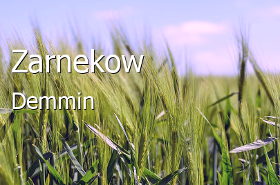 Zarnekow 
