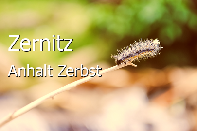 Zernitz 