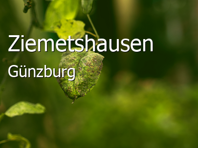 Ziemetshausen Landkreis Günzburg Ziemetshausen Landstadt