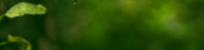 ?berherrn Kleinstadt